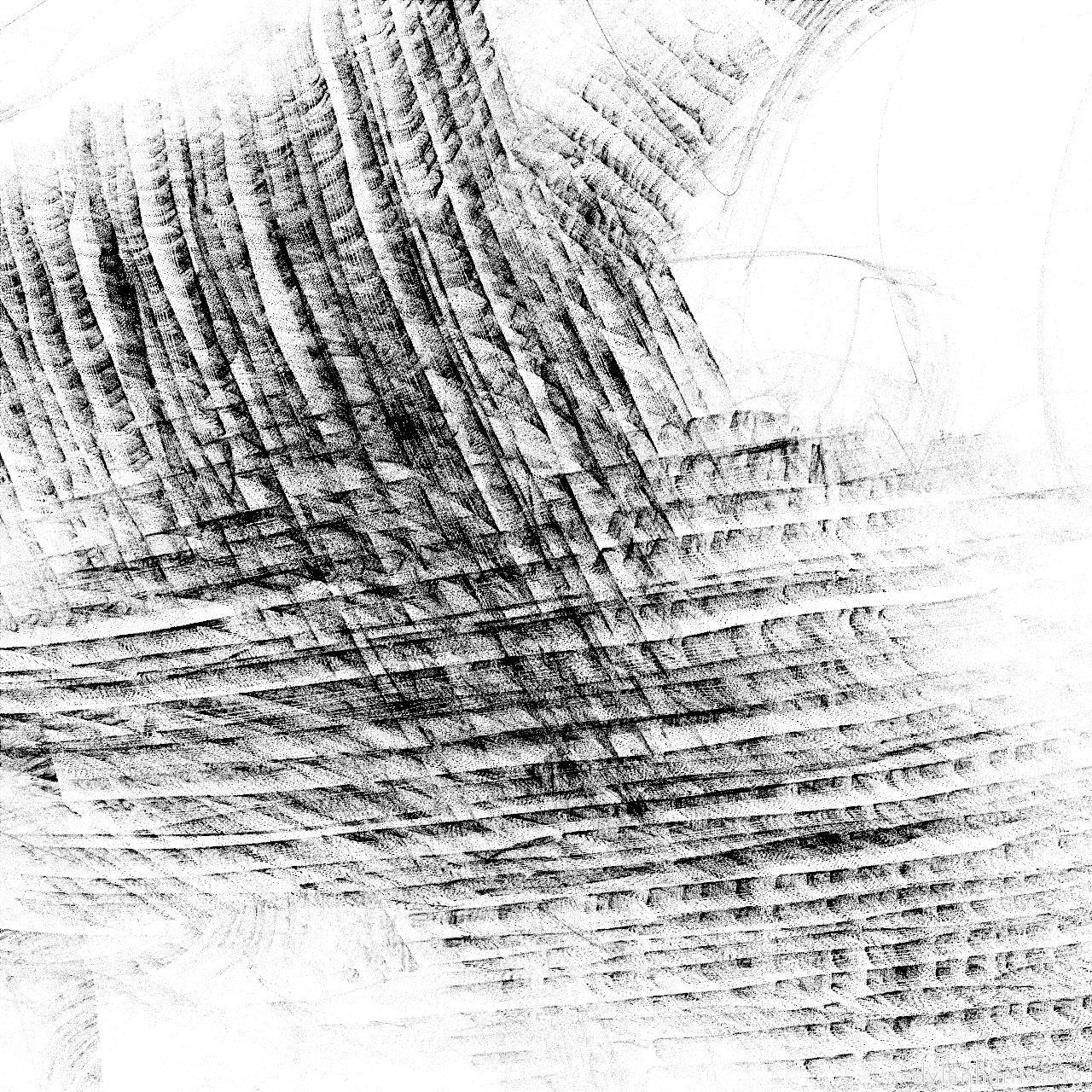 image: bw new :: texture field 2