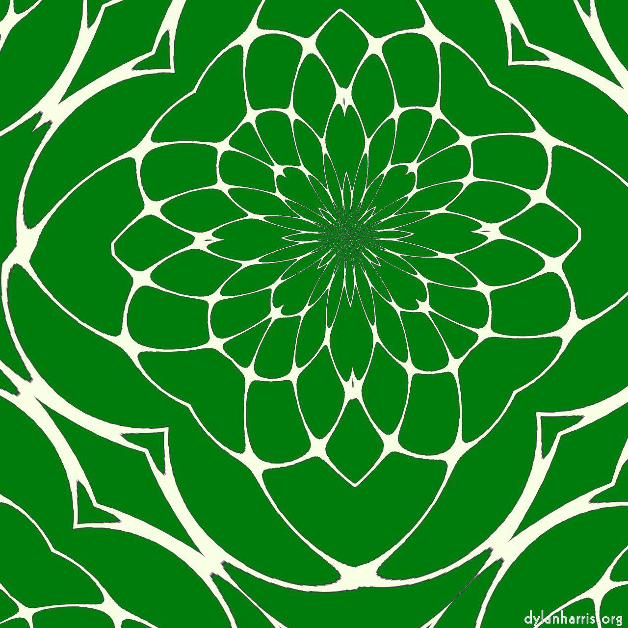 image: complex attractors :: leaf web