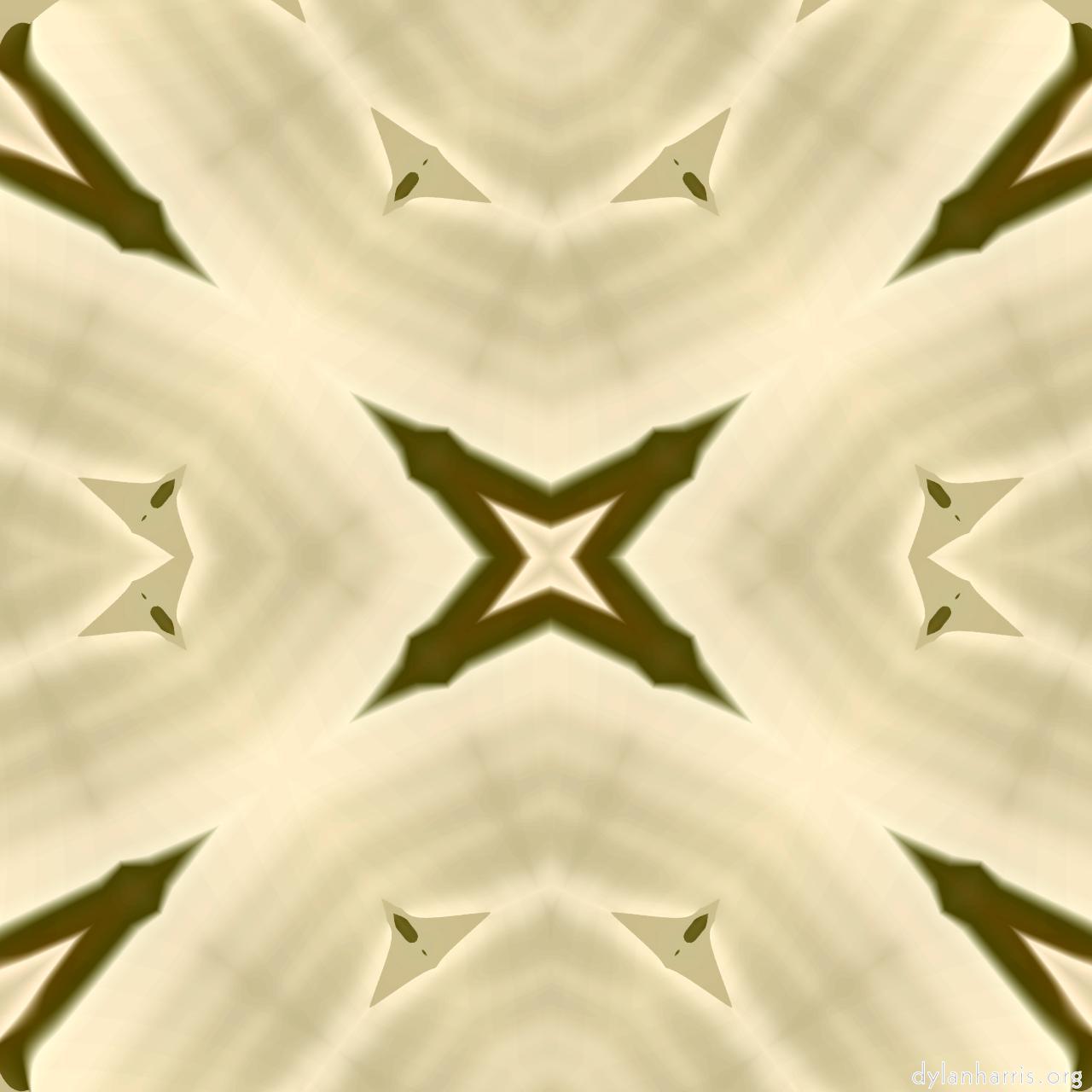 image: pattern 1 :: p11