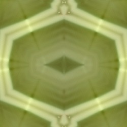 image: image from pattern 1