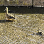 image: Image from the photoset &lsquo;untitled (xlviiii)&rsquo;.