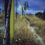 image: out&ndash;of&ndash;date