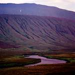 image: Image from the photoset ‘highlands (xvii)’.