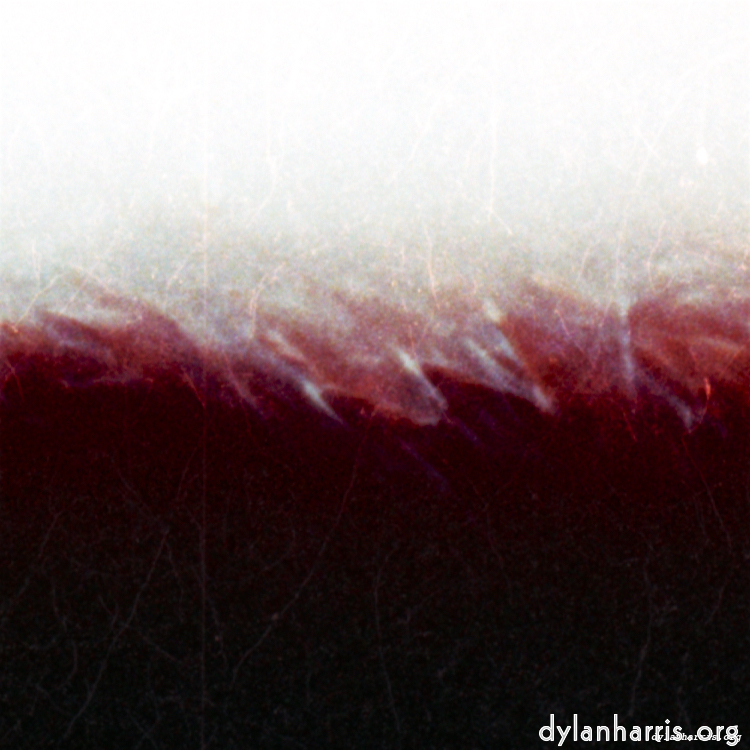 image: This is ‘fire (xvi) 1’.