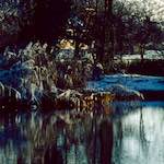 image: Image from the photoset ‘st. neots park (vi)’.