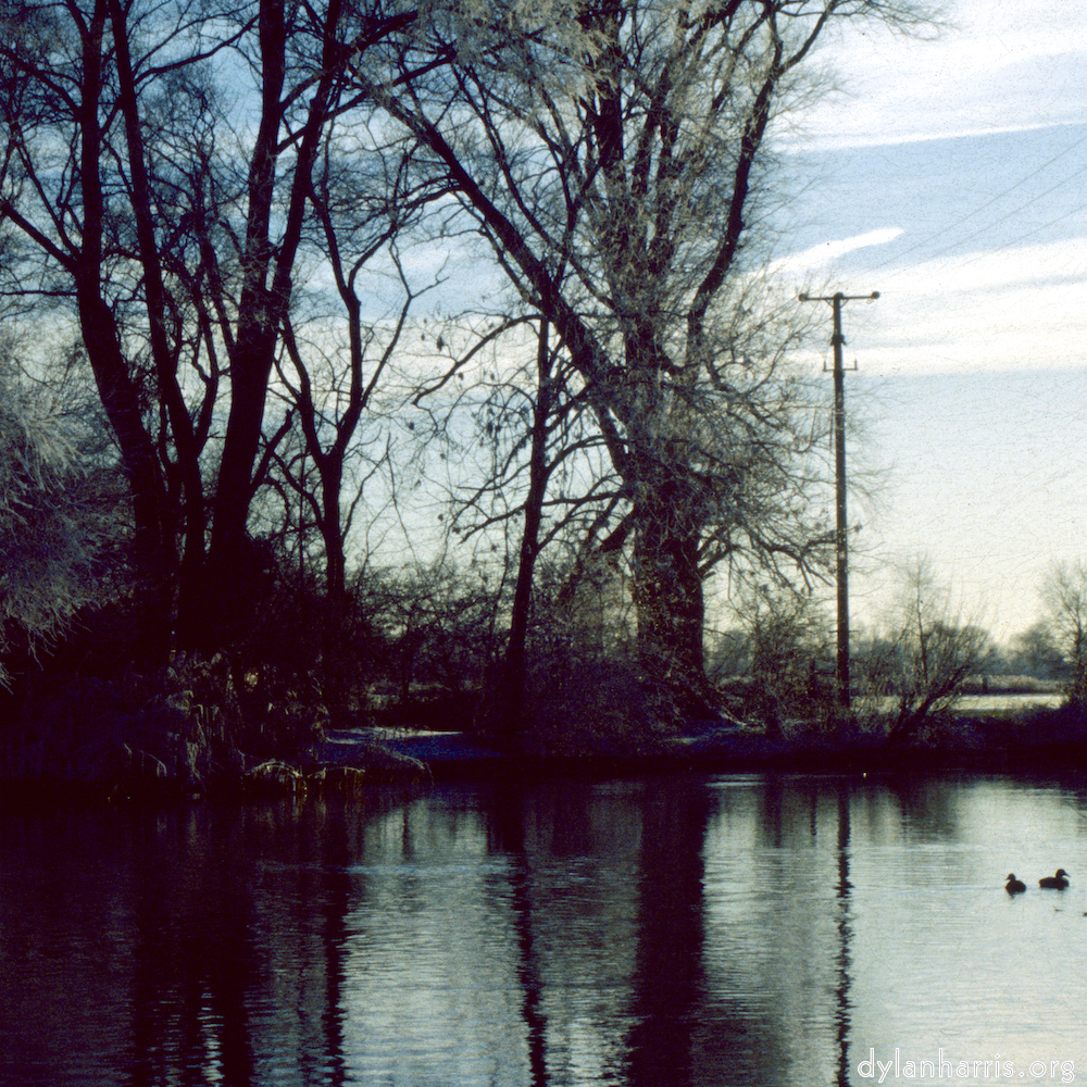image: This is ‘st. neots park (viii) 2’.