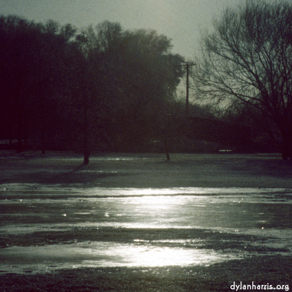 image: This is ‘st. neots park (viii) 4’.
