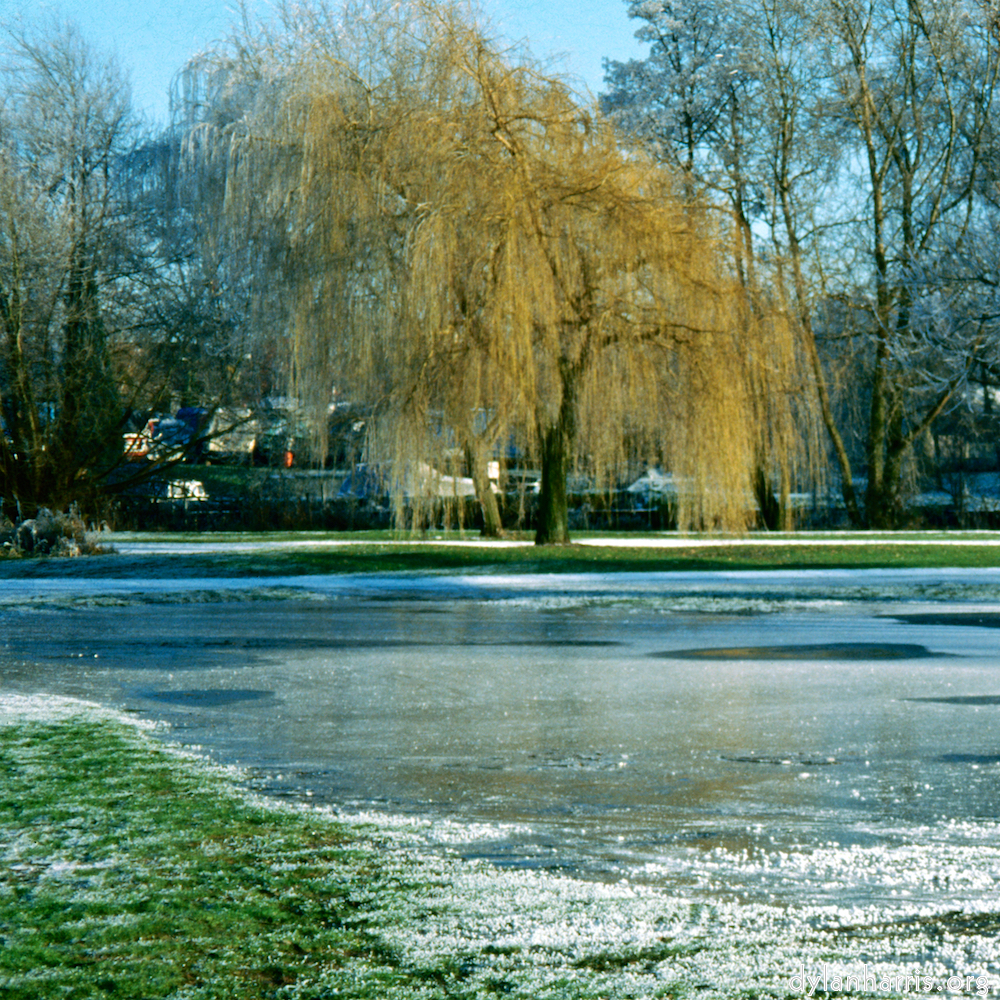 image: This is ‘st. neots park (iv) 7’.