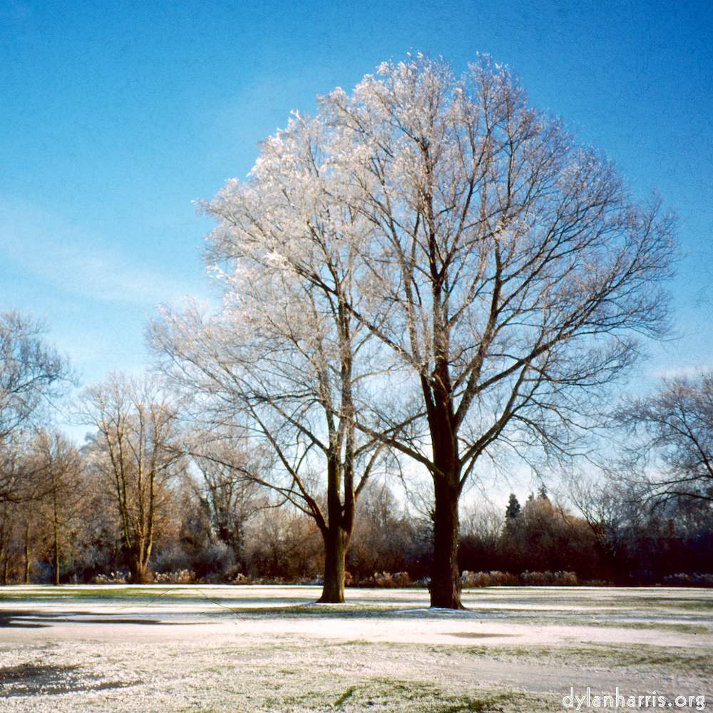 image: This is ‘st. neots park (iv) 8’.