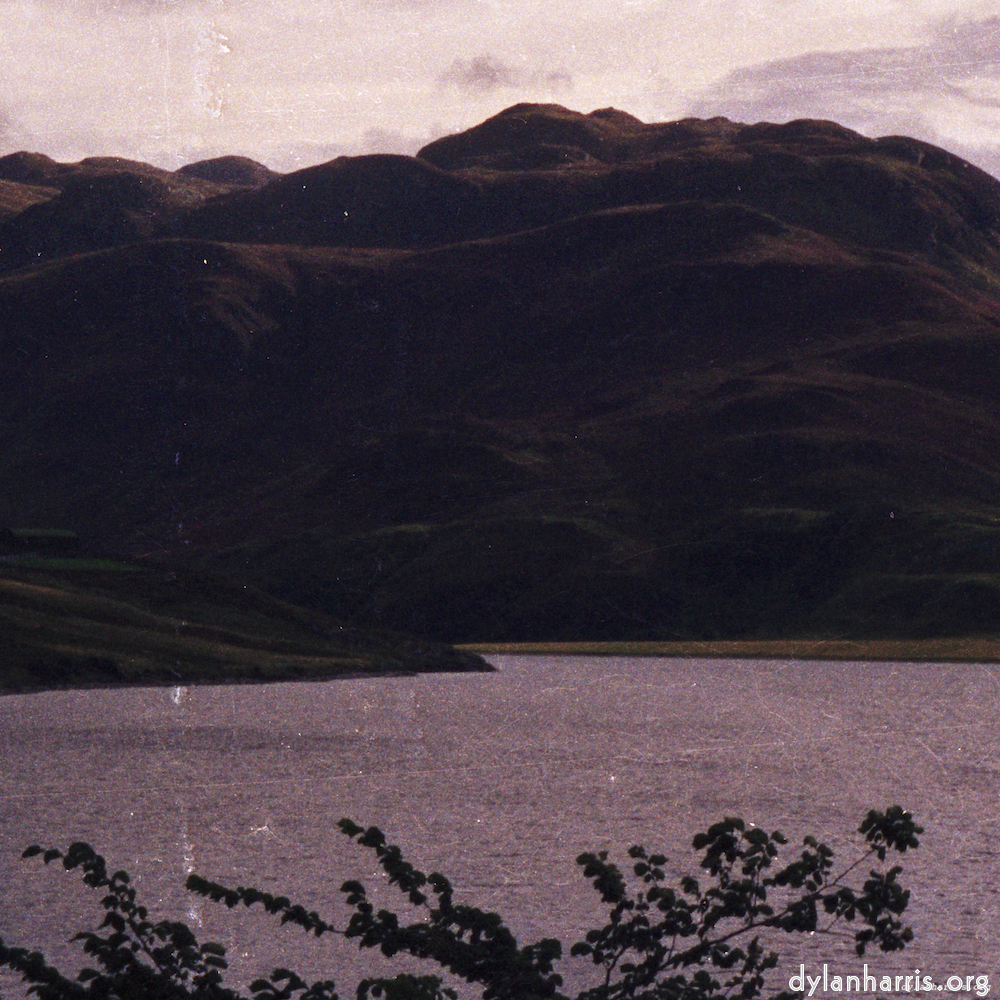 image: This is ‘highlands (x) 6’.