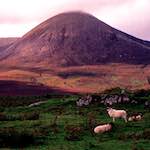 image: Image von das photoset <<highlands (x)>>.
