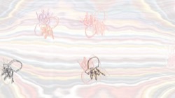image: image from jellyfish test