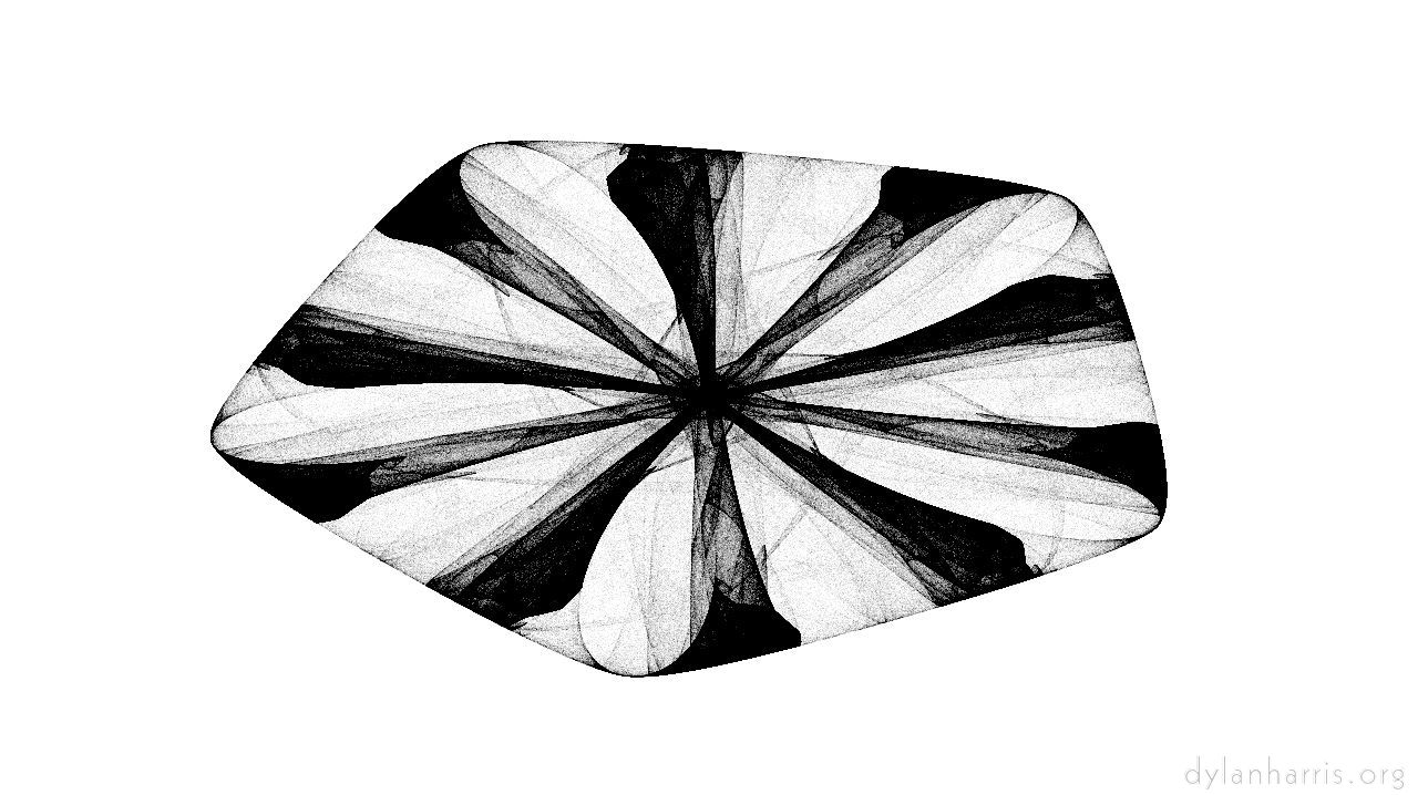 image: bw attractor :: shell