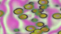 image: image from pattern 2