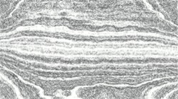 image: image from mezzotint experiments