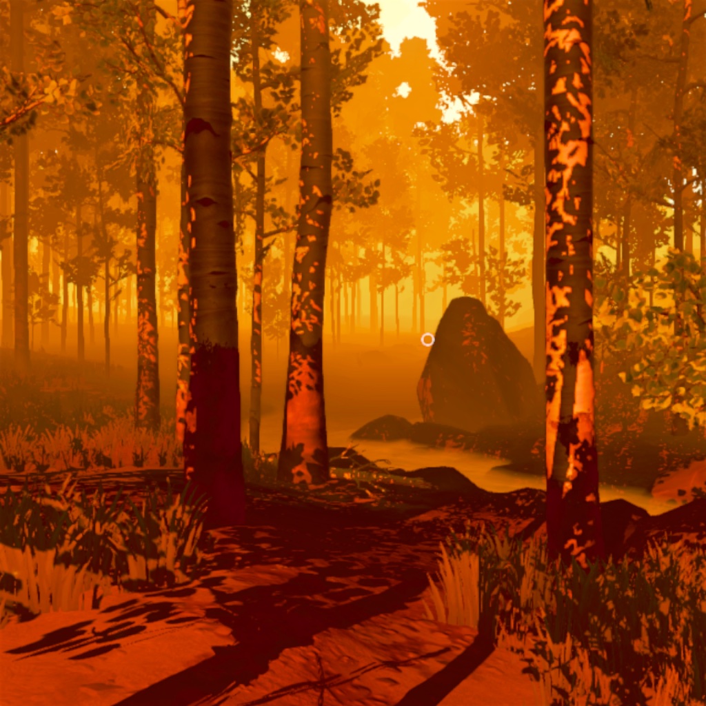 Image: sunset in the firewatch woods