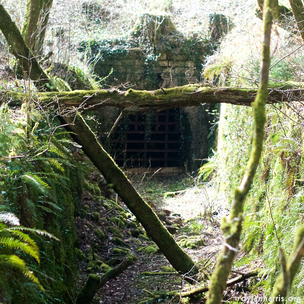 image: abandoned narrow gauge railway tunnel entrance