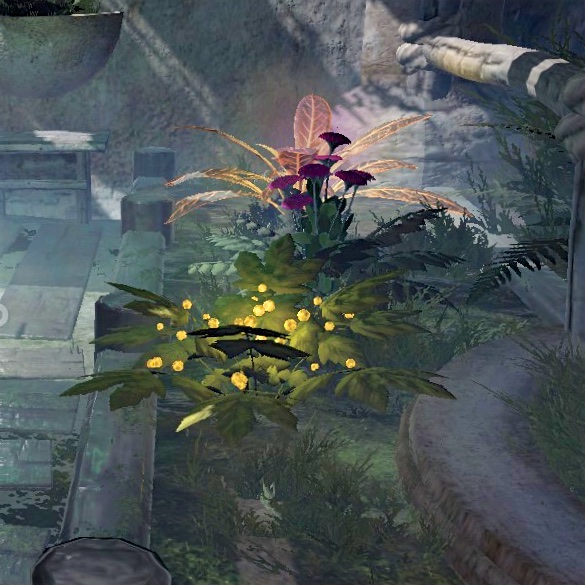 image: a screenshot of a quern flower