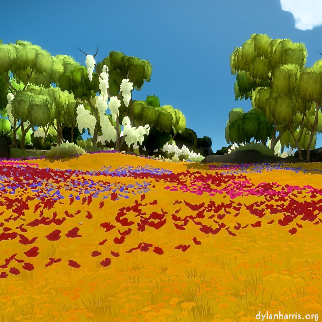 image: the witness