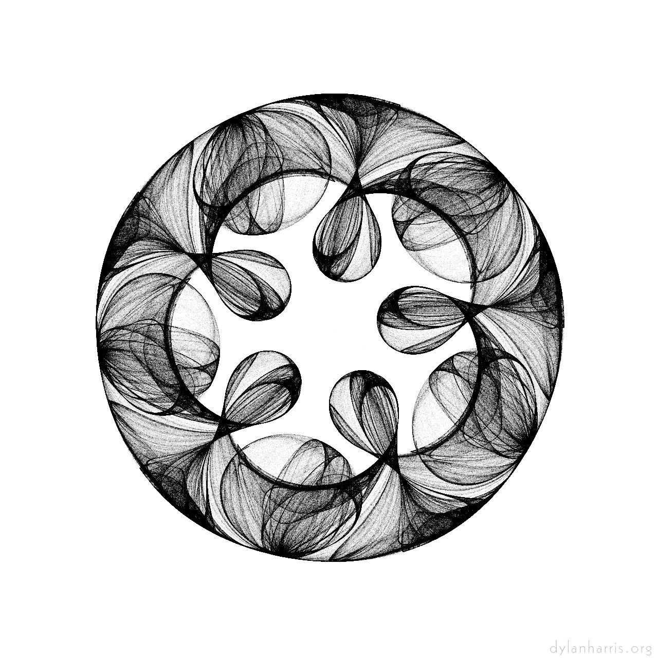 bw attractor :: plate