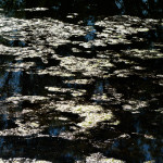 image: Image from the photoset ‘echternach’.