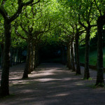 image: Image from the photoset ‘esch/uelzecht (lix)’.