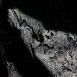 image: Image from the photoset ‘esch/uelzecht (lx)’.