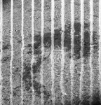 image: Image from the photoset ‘
belval (vi)
’.