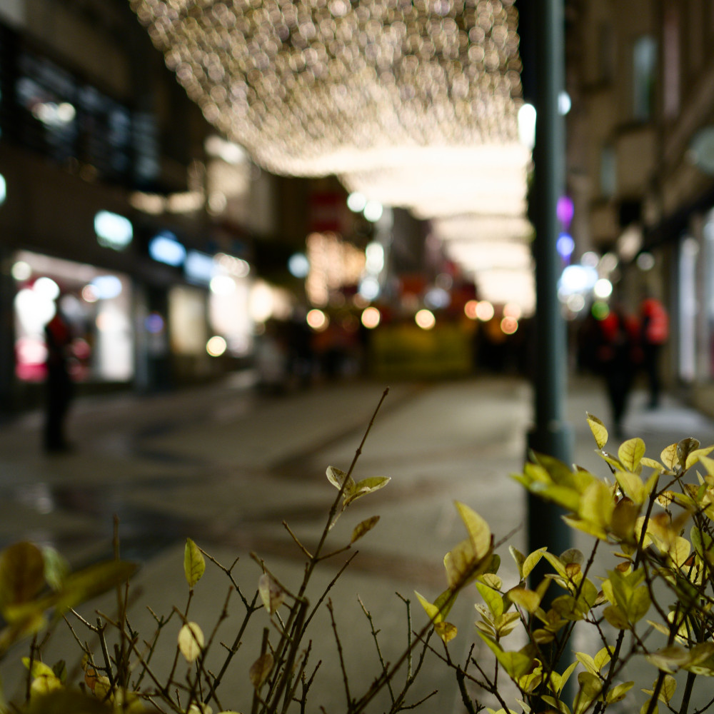 image: This is &lsquo;amnesty international (ii) 2&rsquo;.