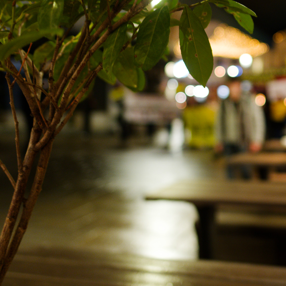 image: This is &lsquo;amnesty international (ii) 6&rsquo;.