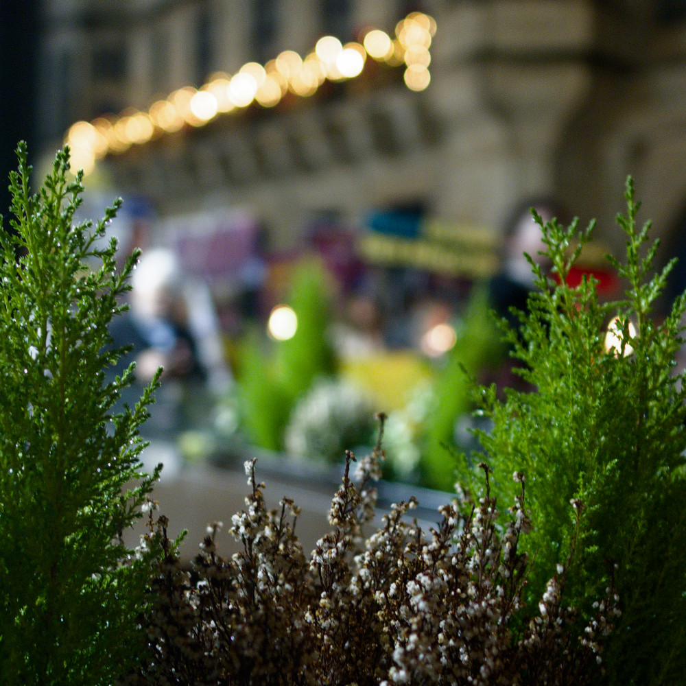 image: This is &lsquo;amnesty international (ii) 7&rsquo;.