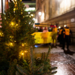 image: Image from the photoset &lsquo;
amnesty international (ii)
&rsquo;.