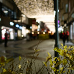 image: Image from the photoset &lsquo;
amnesty international (ii)
&rsquo;.