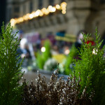 image: Image from the photoset &lsquo;
amnesty international (ii)
&rsquo;.