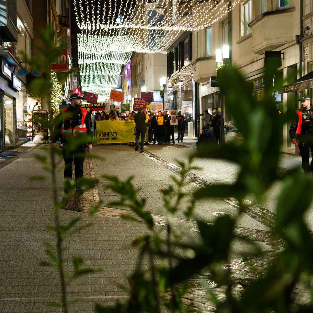 image: This is &lsquo;amnesty international (iii) 5&rsquo;.