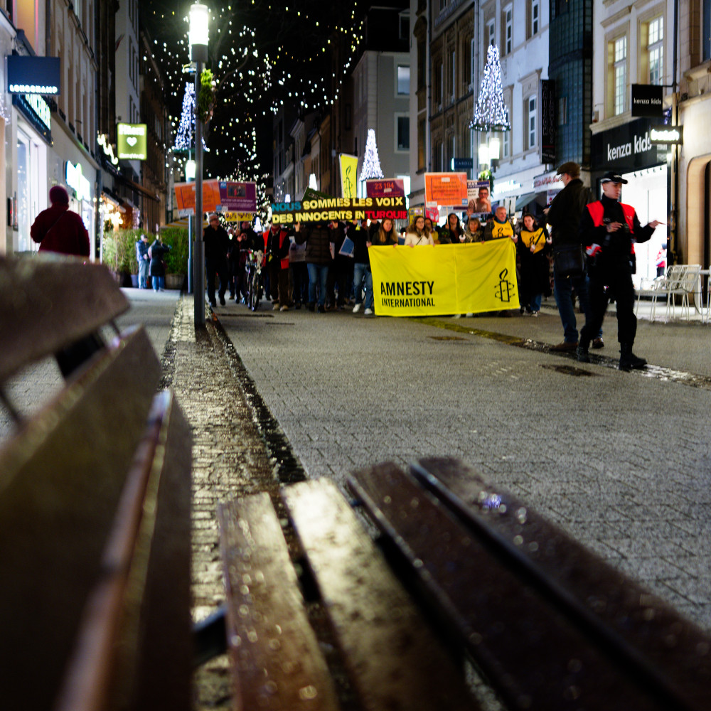 image: This is &lsquo;amnesty international (iv) 5&rsquo;.