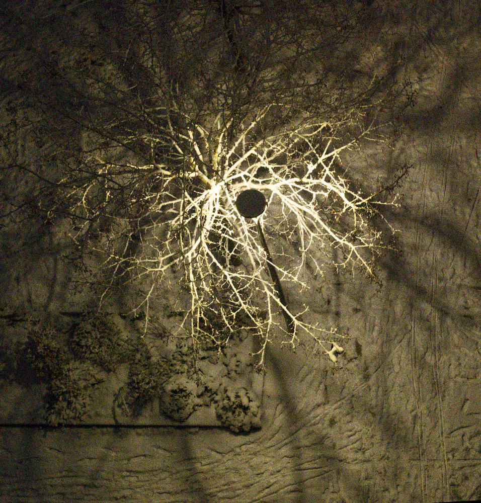 image: This is &lsquo;
paris (xxiv) 6
&rsquo;.