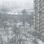 image: Image from the photoset &lsquo;
paris (xxiv)
&rsquo;.