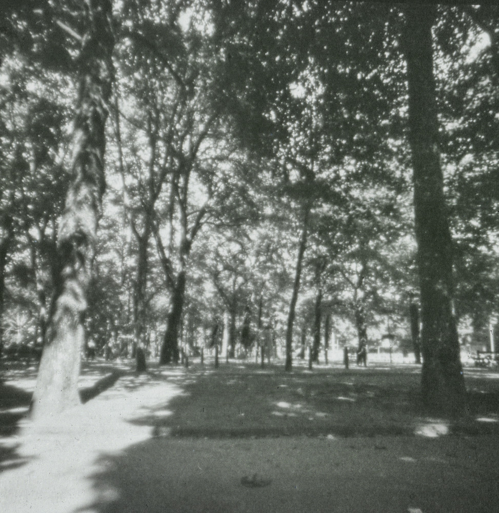 image: This is &lsquo;esch/uelzecht (lxix) 1&rsquo;.