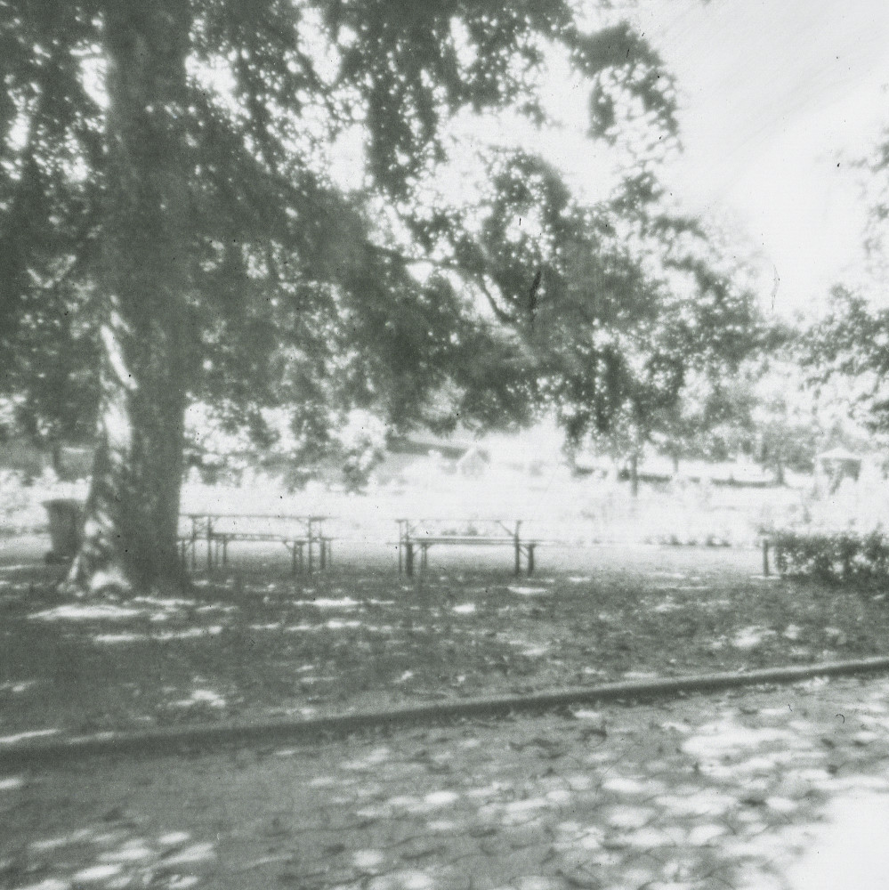 image: This is &lsquo;esch/uelzecht (lxix) 2&rsquo;.