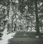 image: Image from the photoset &lsquo;esch/uelzecht (lxix)&rsquo;.