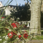 image: Image from the photoset &lsquo;colmar (ii)&rsquo;.