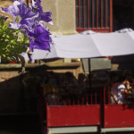image: Image from the photoset &lsquo;colmar (iv)&rsquo;.