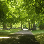 image: Image from the photoset &lsquo;green park&rsquo;.