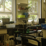 image: Image from the photoset &lsquo;bs (i)&rsquo;.