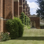 image: Image from the photoset &lsquo;bs (iii)&rsquo;.