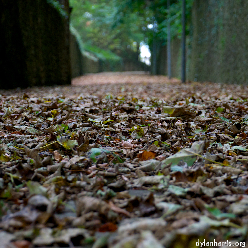 image: Voici ‘cimetière (ii) 1’.