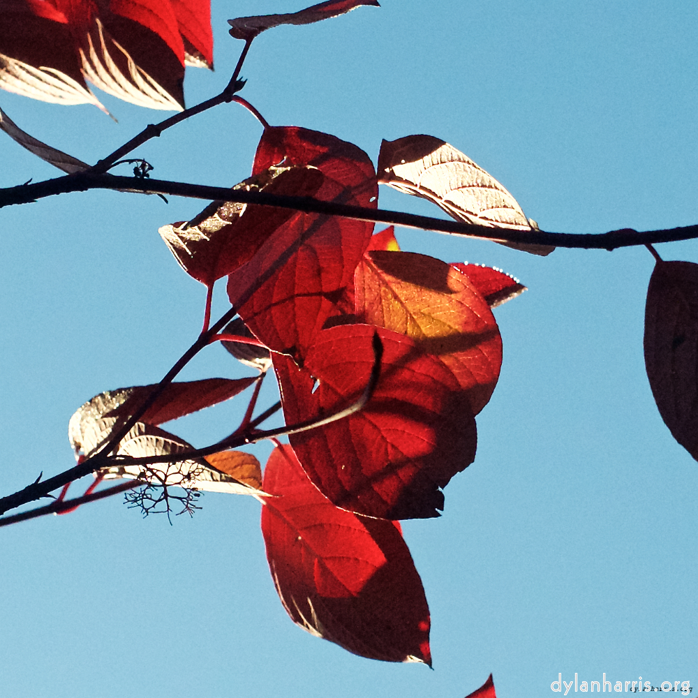 image: This is ‘autumn (iv) 2’.
