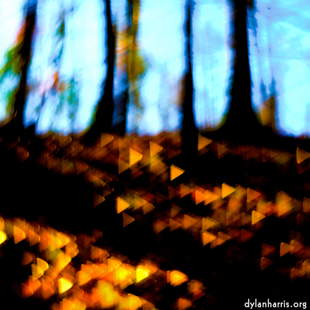 image: wooden dreamland