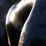 image: yorkshire sculpture park (xiv) foto’s